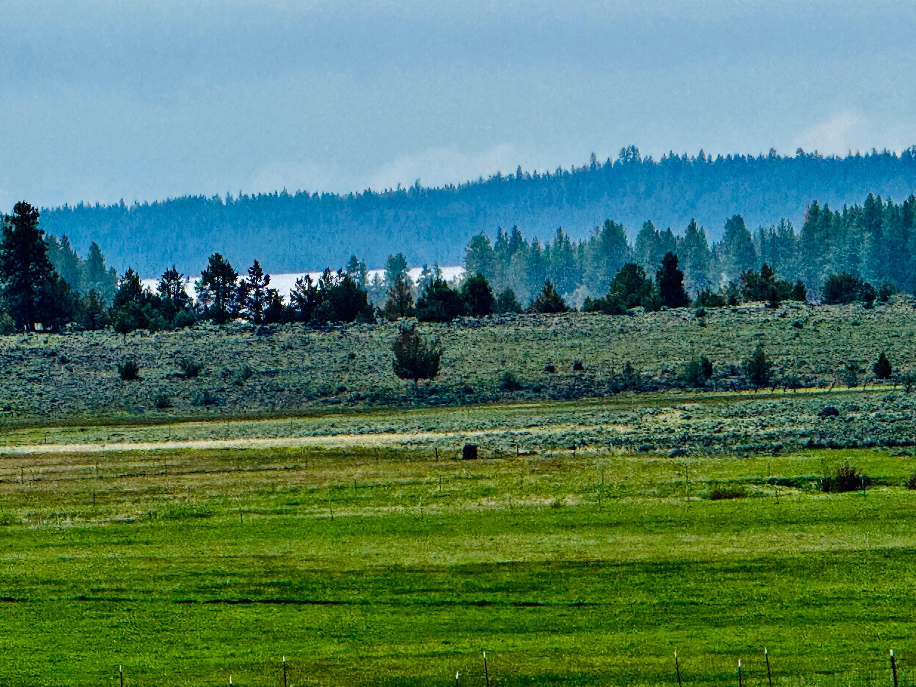 57301 Gerber Road Bonanza, OR 97623 - Photo 2 of 5 Gerber Ranch LLC
