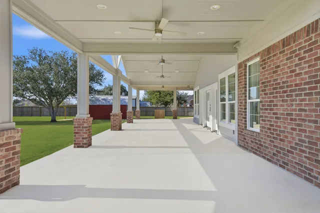 a view of a park with a large tree