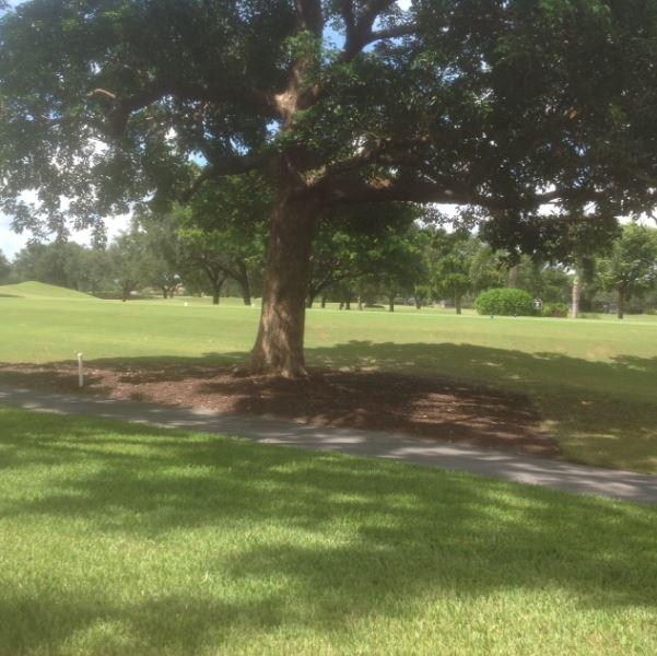 1912 Bridgewood Drive, Unit 1912 Boca Raton, FL 33434 - Photo 24 of 26 VIEW FROM KITCHEN PORCH