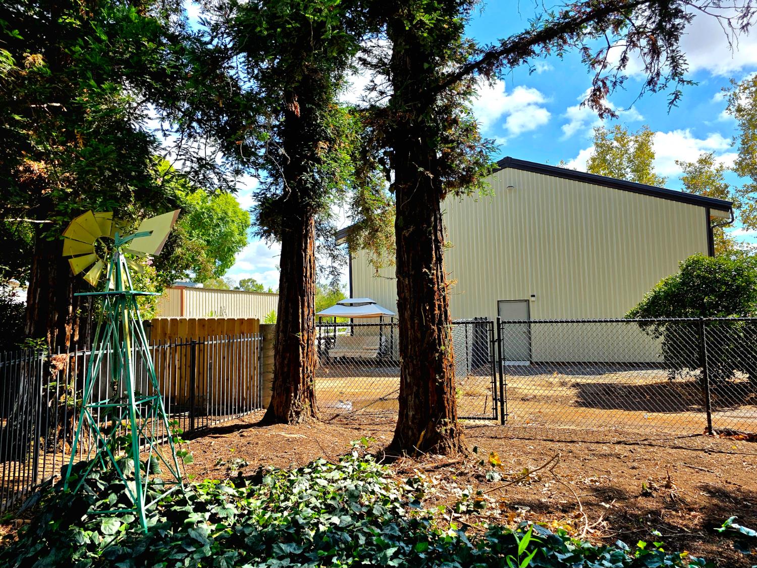 4449 Stetson Road Clovis, CA 93619 - Photo 50 of 93 a view of a backyard
