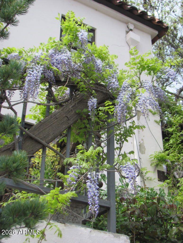 100 Hill Street Jerome, AZ 86331 - Photo 6 of 30 Wisteria