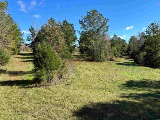 $240,000 | Tbd River Fork Road, Waterloo, SC 29384