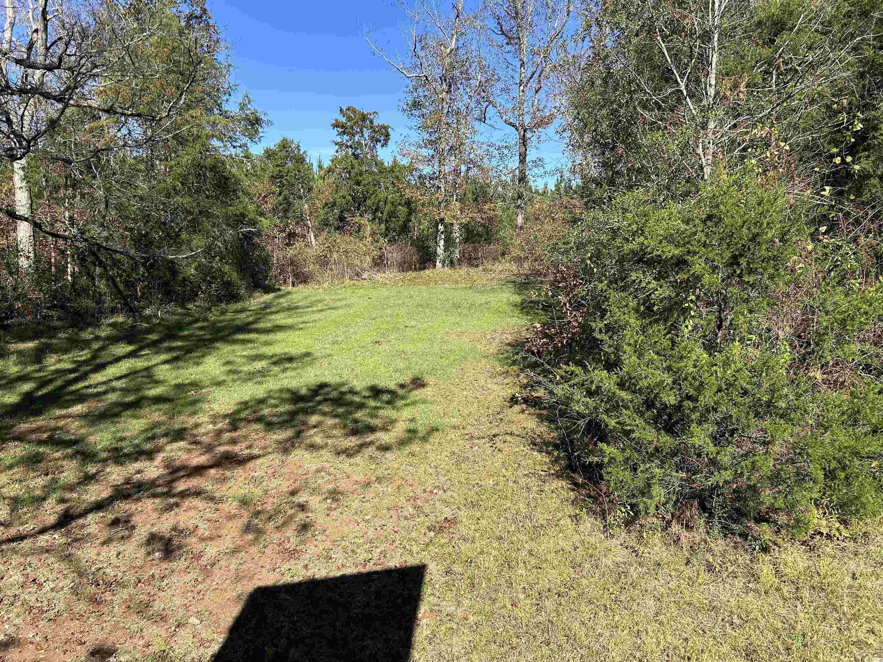 Tbd River Fork Road Waterloo, SC 29384 - Photo 12 of 30 View of grassy yard