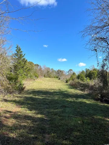 $240,000 | Tbd River Fork Road, Waterloo, SC 29384