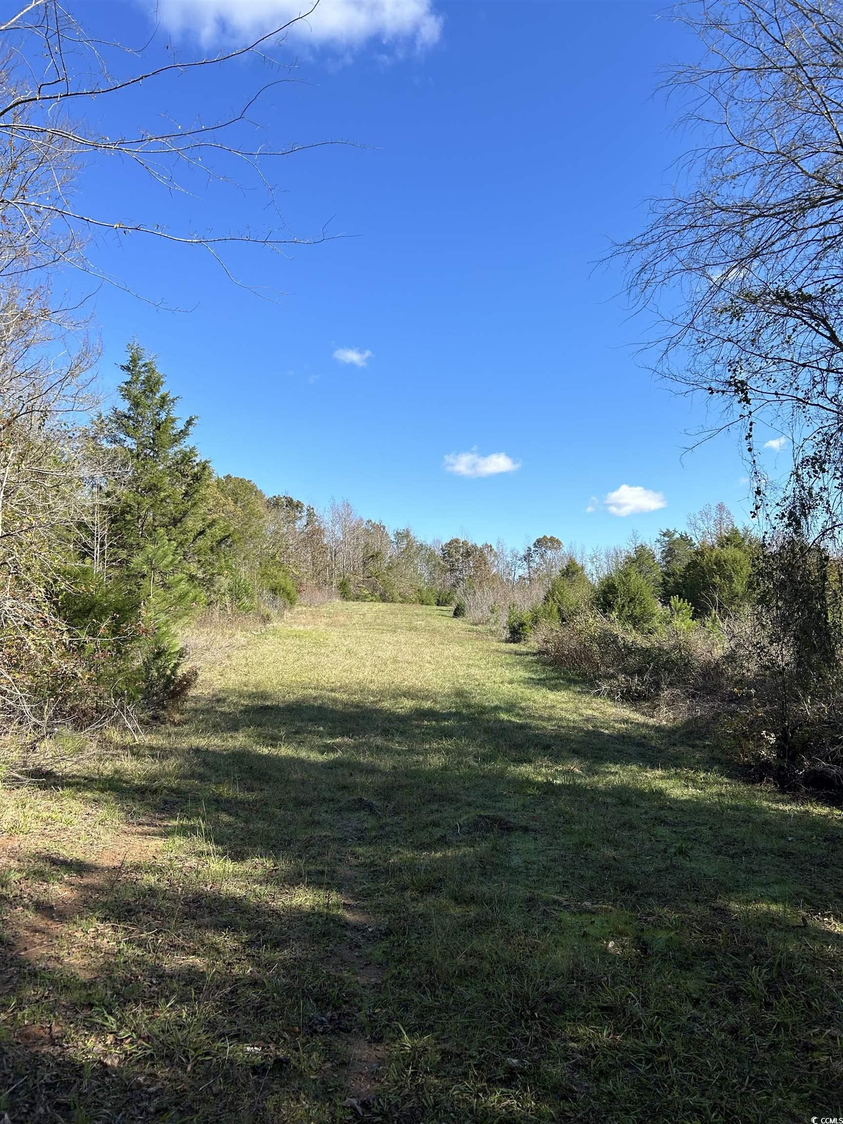 Tbd River Fork Road Waterloo, SC 29384 - Photo 13 of 30 View of undeveloped land