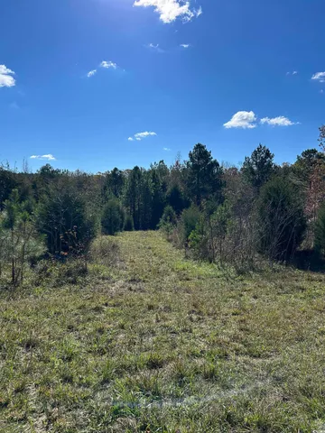 $240,000 | Tbd River Fork Road, Waterloo, SC 29384
