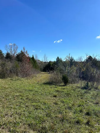 $240,000 | Tbd River Fork Road, Waterloo, SC 29384