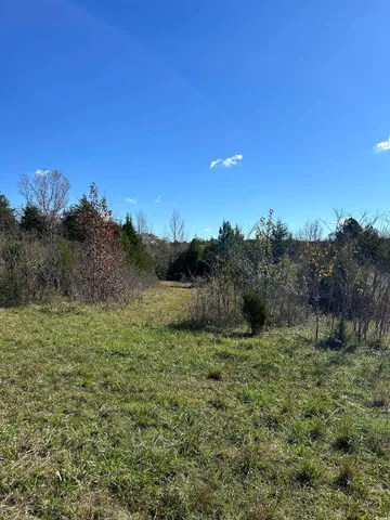 $240,000 | Tbd River Fork Road, Waterloo, SC 29384