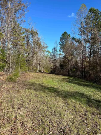 $240,000 | Tbd River Fork Road, Waterloo, SC 29384