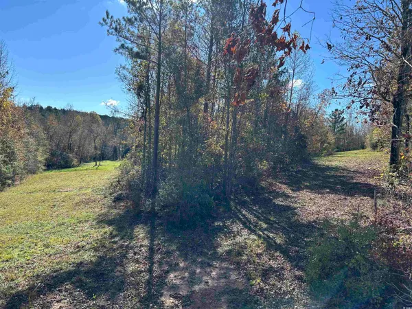 $240,000 | Tbd River Fork Road, Waterloo, SC 29384