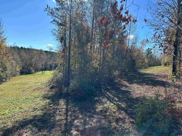 $240,000 | Tbd River Fork Road, Waterloo, SC 29384