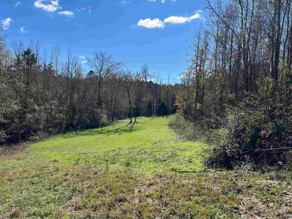 $240,000 | Tbd River Fork Road, Waterloo, SC 29384