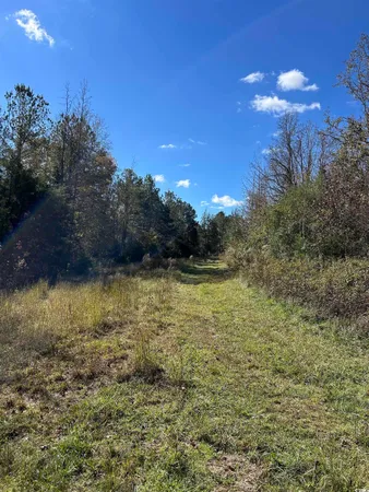 $240,000 | Tbd River Fork Road, Waterloo, SC 29384