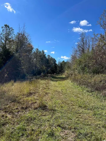 $240,000 | Tbd River Fork Road, Waterloo, SC 29384