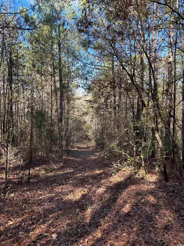 $240,000 | Tbd River Fork Road, Waterloo, SC 29384