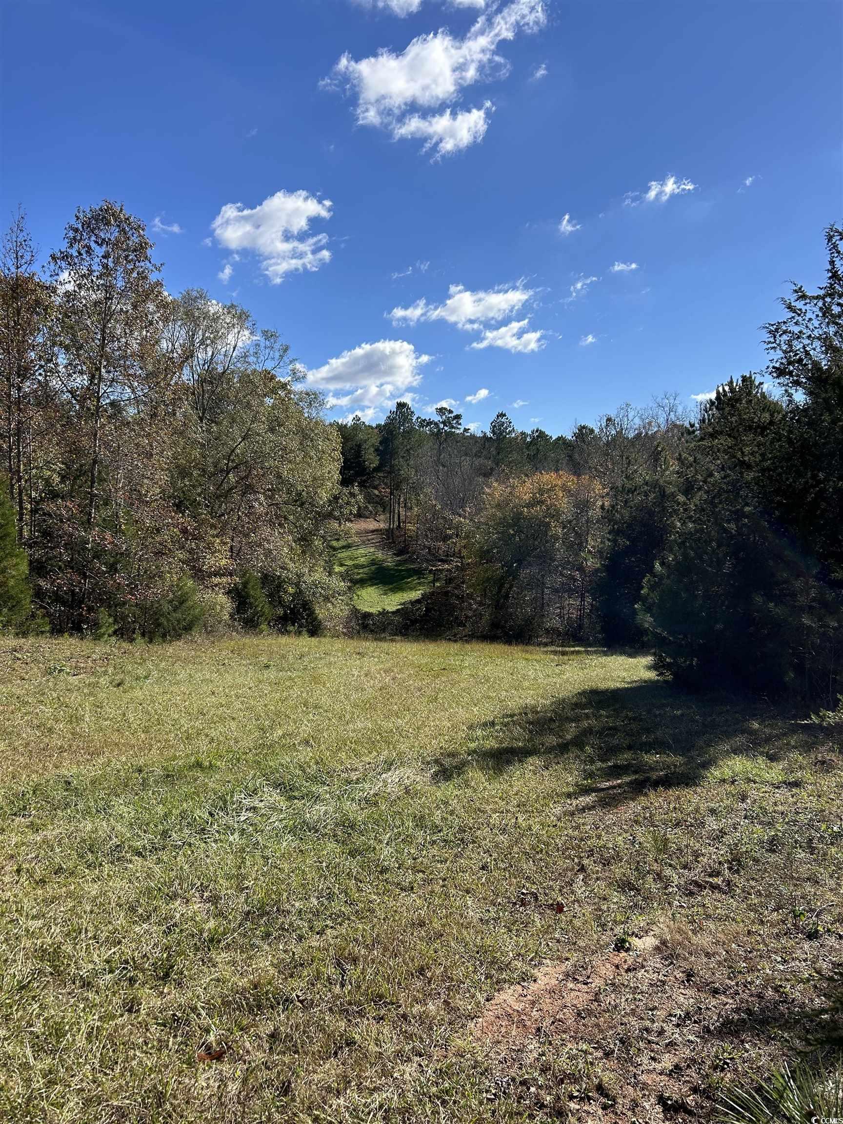 Tbd River Fork Road Waterloo, SC 29384 - Photo 21 of 30 View of local wilderness