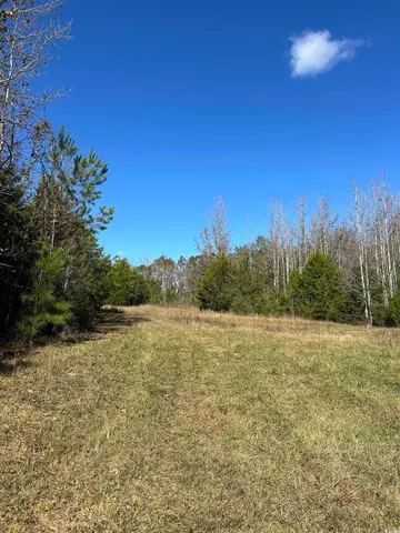 $240,000 | Tbd River Fork Road, Waterloo, SC 29384