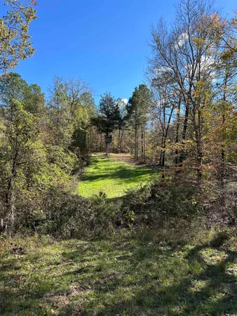 $240,000 | Tbd River Fork Road, Waterloo, SC 29384