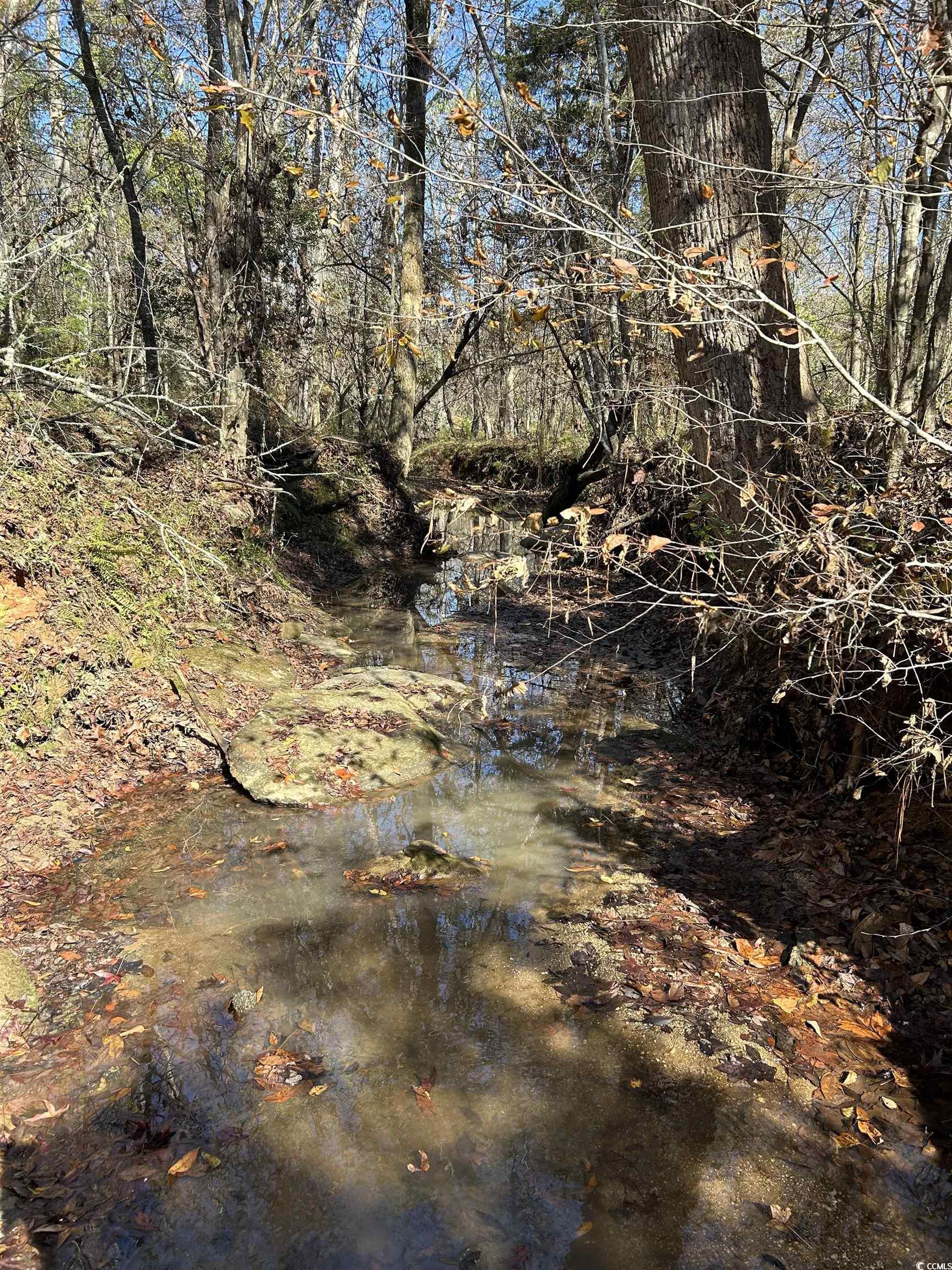 Tbd River Fork Road Waterloo, SC 29384 - Photo 24 of 30 View of undeveloped land