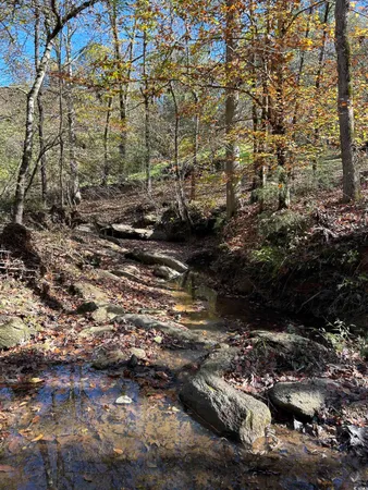 $240,000 | Tbd River Fork Road, Waterloo, SC 29384
