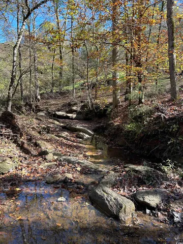 $240,000 | Tbd River Fork Road, Waterloo, SC 29384