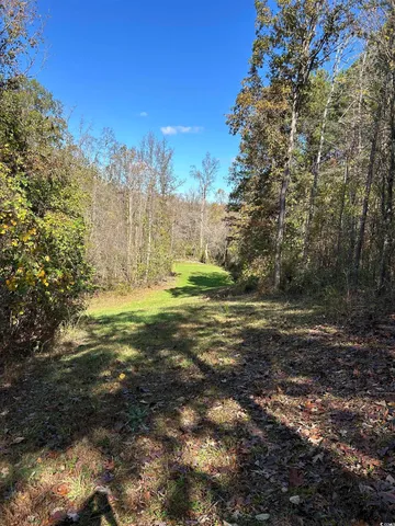 $240,000 | Tbd River Fork Road, Waterloo, SC 29384