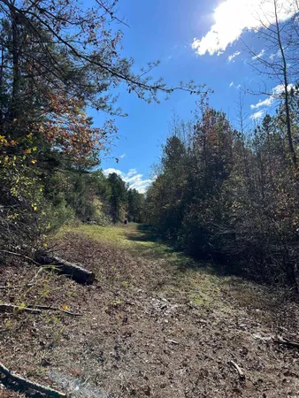 $240,000 | Tbd River Fork Road, Waterloo, SC 29384