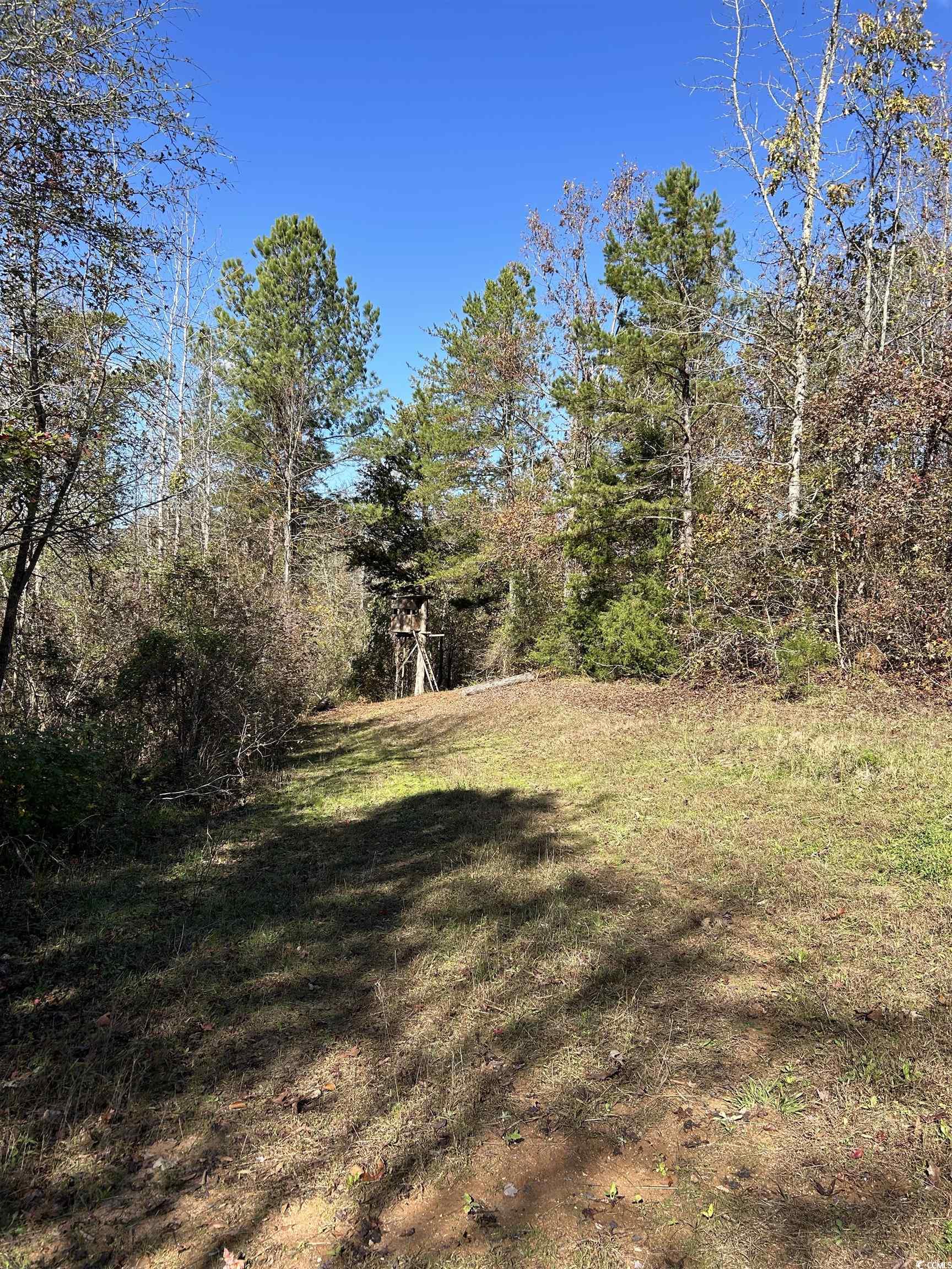 Tbd River Fork Road Waterloo, SC 29384 - Photo 28 of 30 View of green lawn