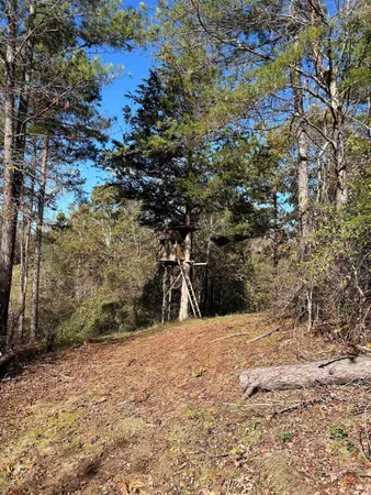 $240,000 | Tbd River Fork Road, Waterloo, SC 29384