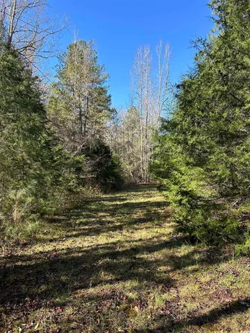 $240,000 | Tbd River Fork Road, Waterloo, SC 29384