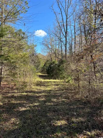 $240,000 | Tbd River Fork Road, Waterloo, SC 29384