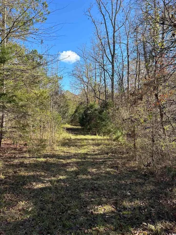 $240,000 | Tbd River Fork Road, Waterloo, SC 29384