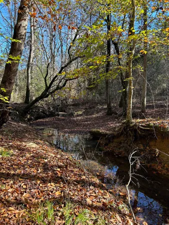 $240,000 | Tbd River Fork Road, Waterloo, SC 29384