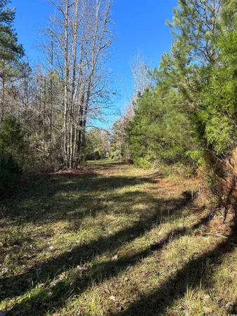 $240,000 | Tbd River Fork Road, Waterloo, SC 29384