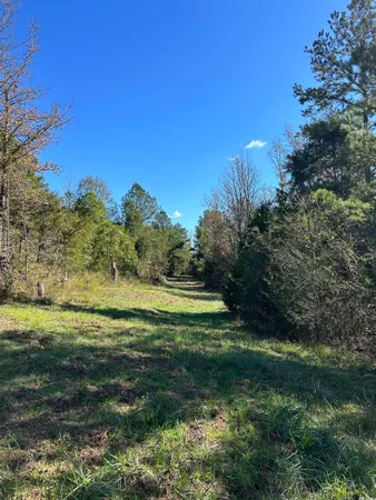 $240,000 | Tbd River Fork Road, Waterloo, SC 29384