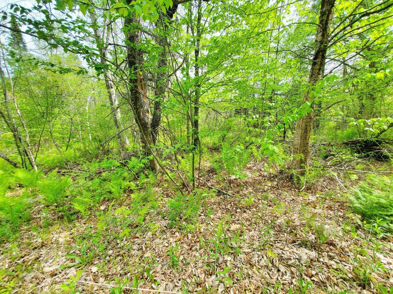 Lot 6 Pleasant Pond Road Milo, ME 04463 - Photo 17 of 38 20260523_143919 adj