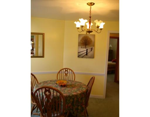186 Whitewood Road Westwood, MA 02090 - Photo 15 of 23 Gallery Image 15