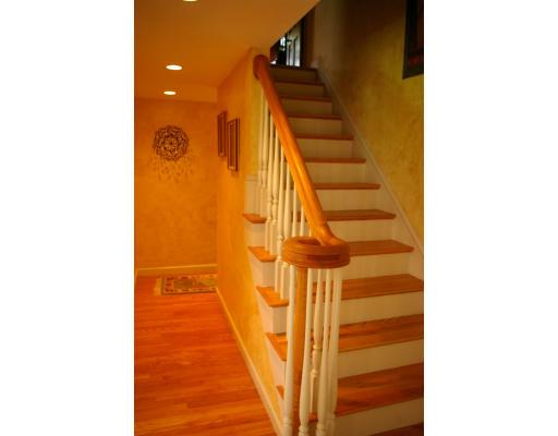 186 Whitewood Road Westwood, MA 02090 - Photo 8 of 23 Gallery Image 8