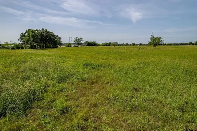a view of a big yard with a house in the background