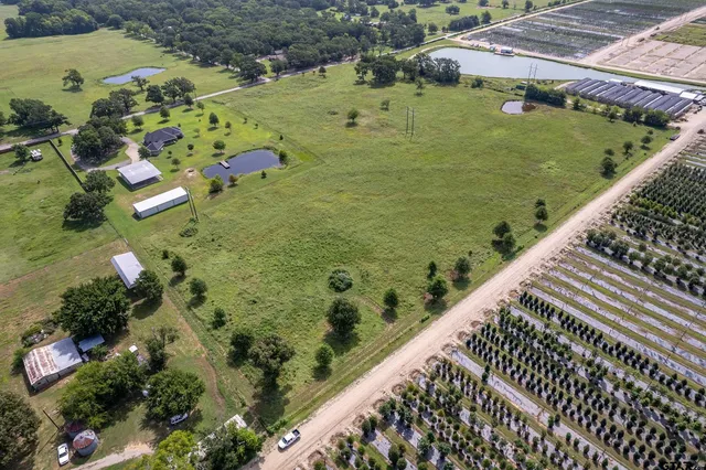 a view of a garden with an outdoor space