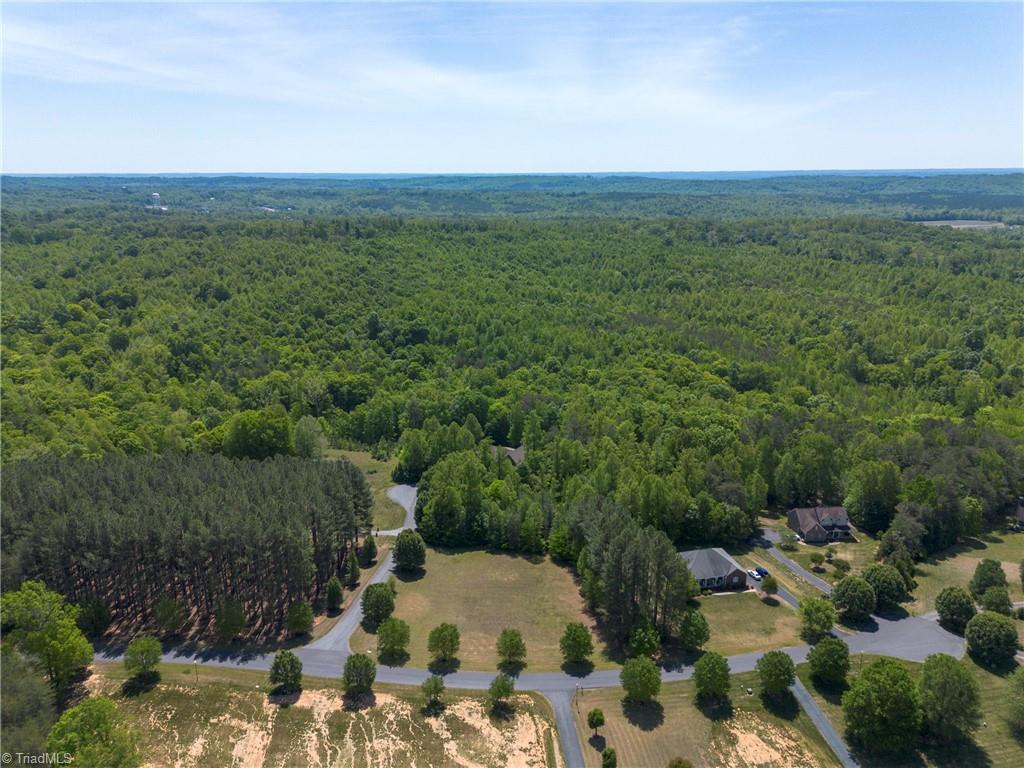 0 Mossdale Road Stoneville, NC 27048 - Photo 5 of 34
