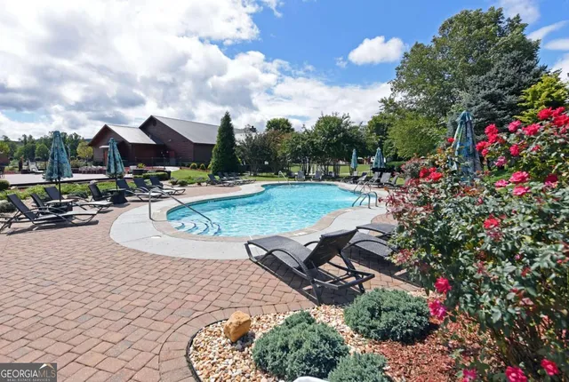 a view of a swimming pool with a yard and plants