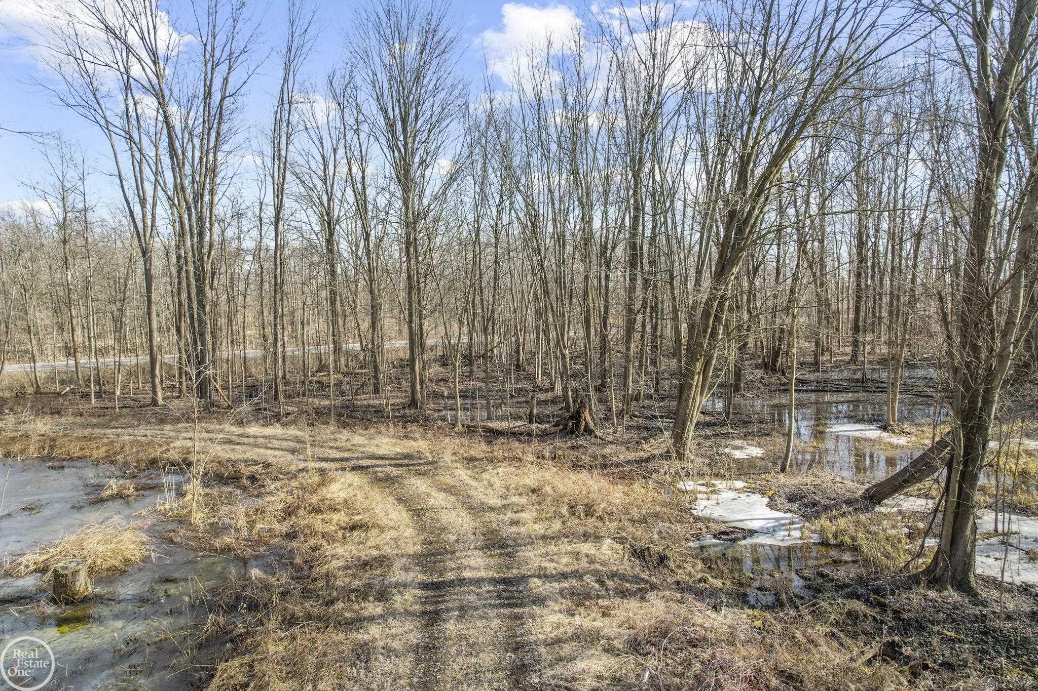 4716 County Line Road New Haven, MI 48048 - Photo 11 of 12
