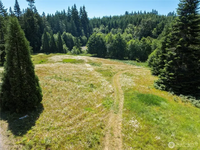 a view of outdoor space and yard