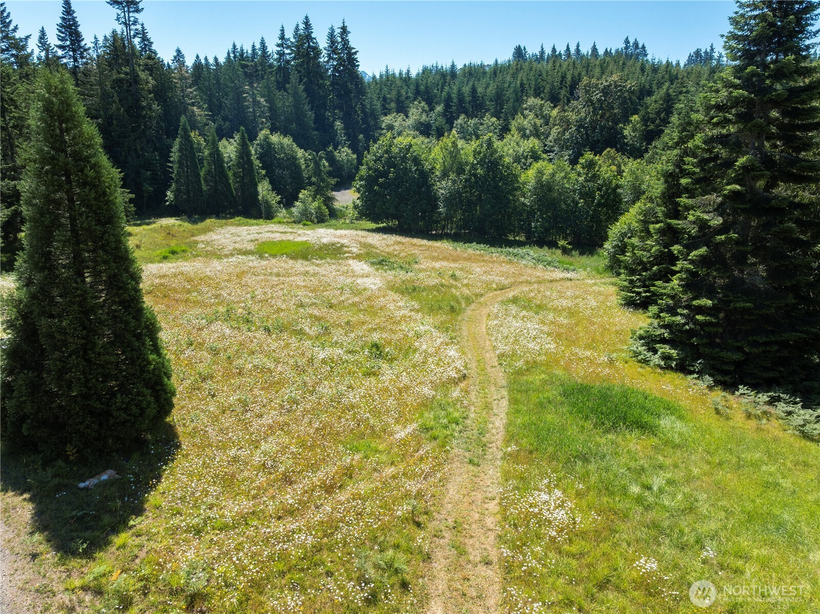 1048 Peters Road Port Angeles, WA 98363 - Photo 11 of 25 a view of outdoor space and yard