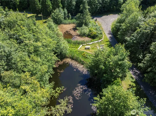 an aerial view of a house with a yard and large trees all around