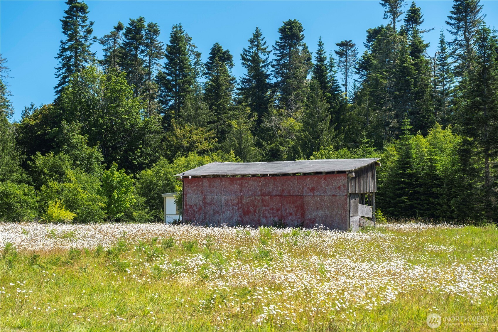 1048 Peters Road Port Angeles, WA 98363 - Photo 15 of 25 a view of a backyard