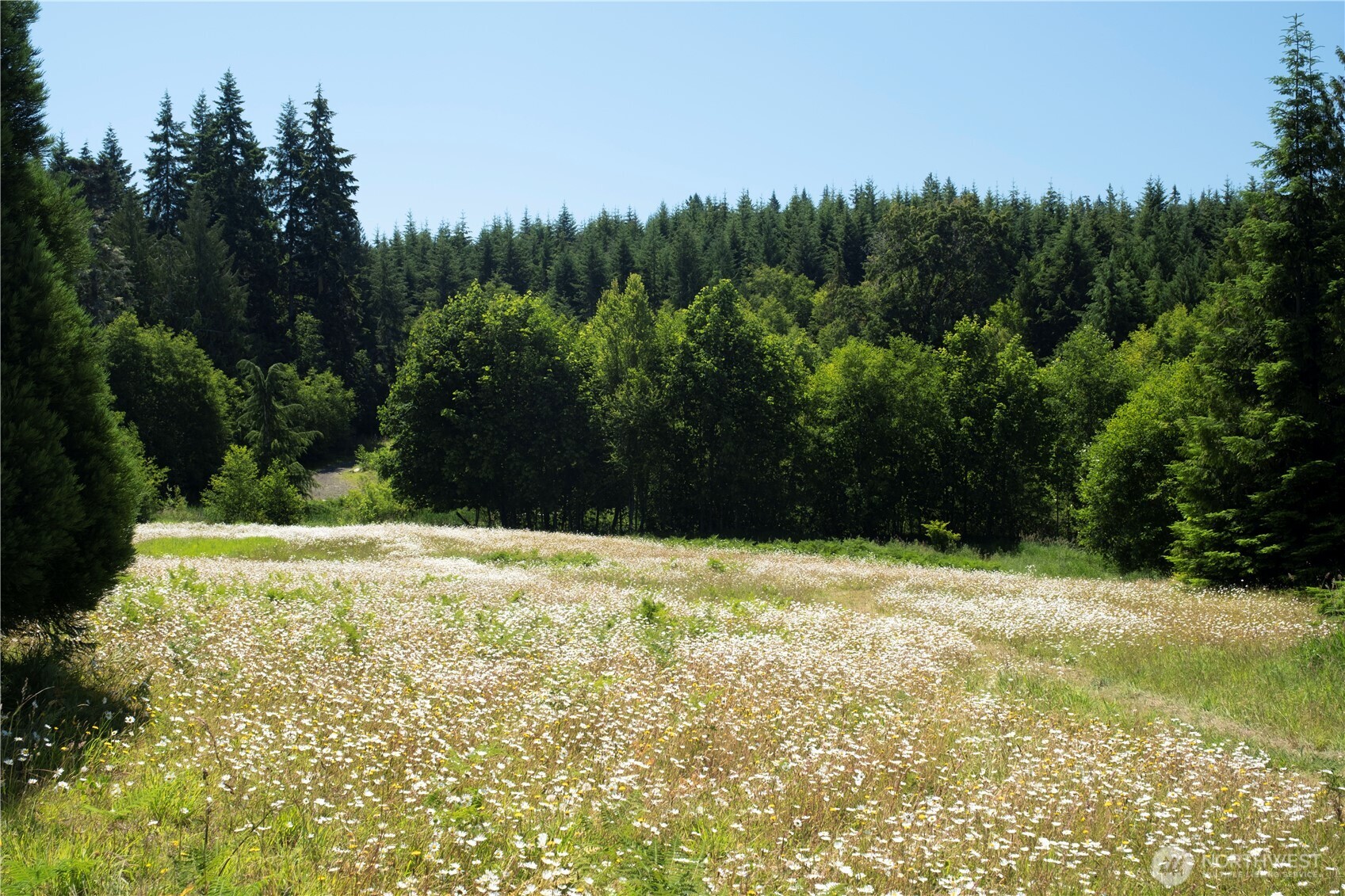 1048 Peters Road Port Angeles, WA 98363 - Photo 16 of 25 a view of a yard with a house
