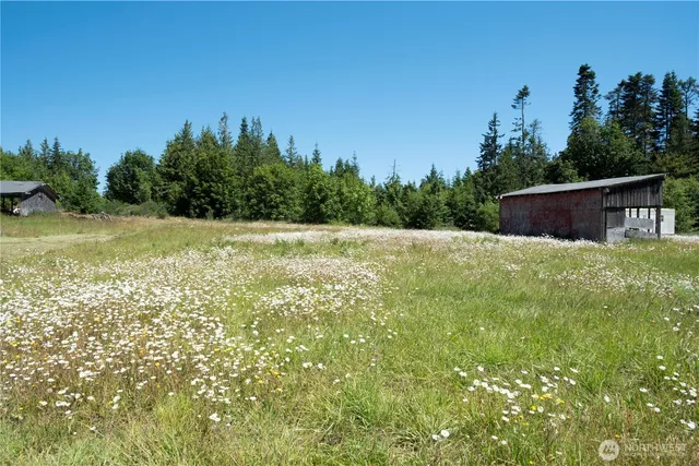 a view of a backyard with plants and trees
