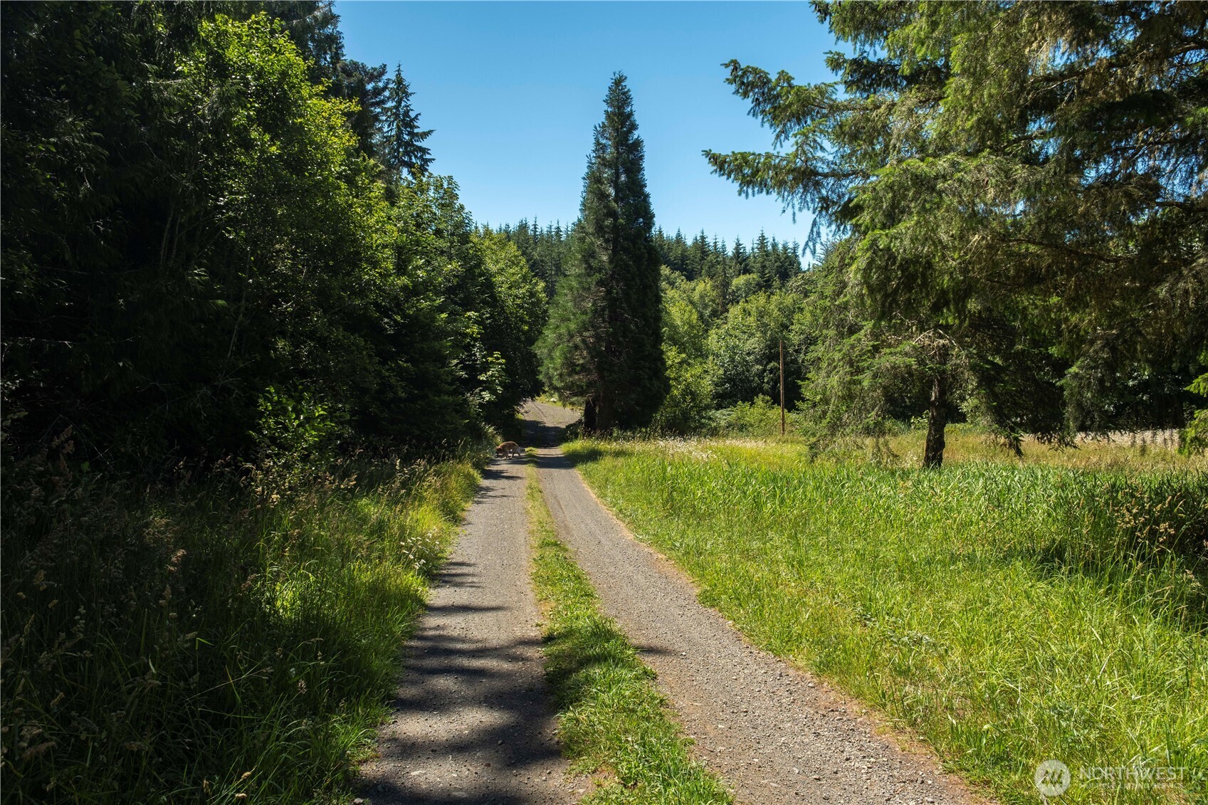 1048 Peters Road Port Angeles, WA 98363 - Photo 23 of 25 a view of a lake with a yard